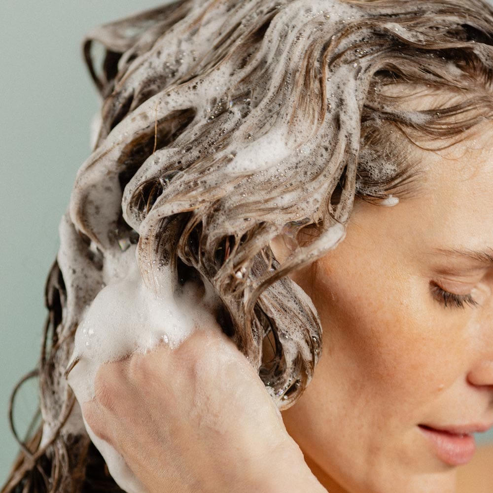 Cedarwood & Lime Wild Kindness Shampoo - Image 5